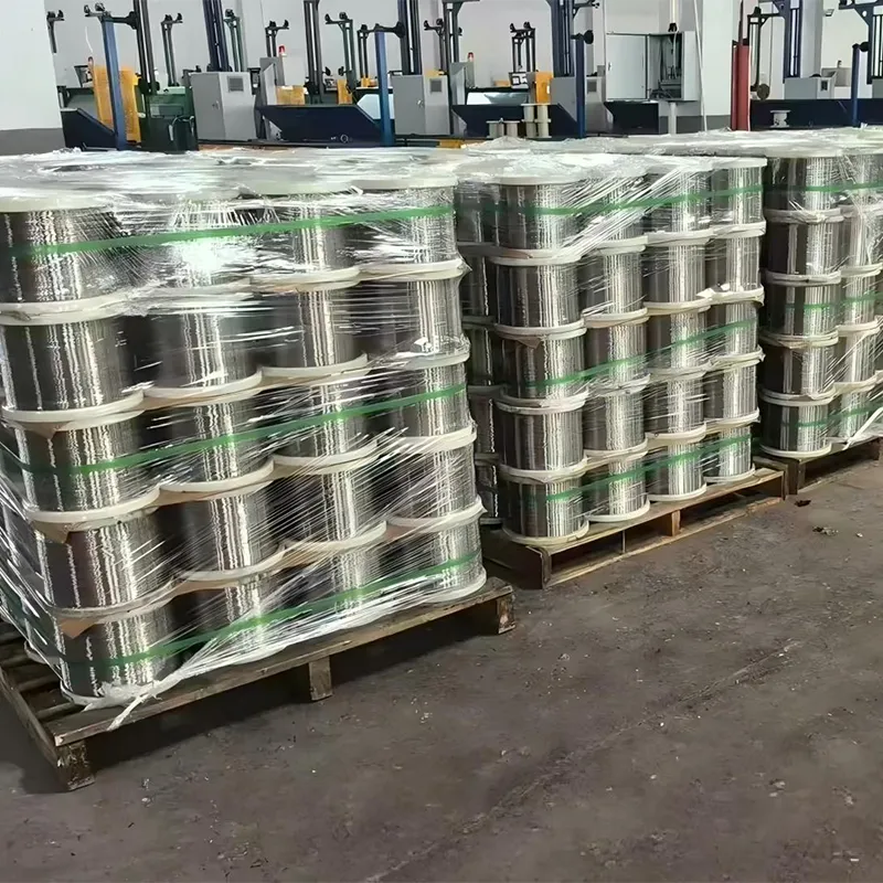 Магнитная проволока для высокопроводящих сред (2)